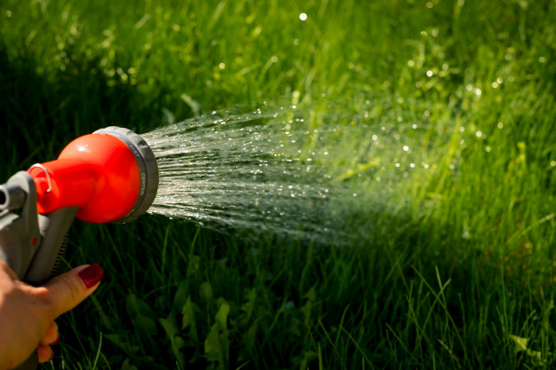 watering-garden-equipment-hand-holds-sprinkler-hose-irrigation-plants_85672-165